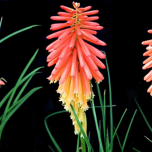 澳门新葡京百家乐游戏